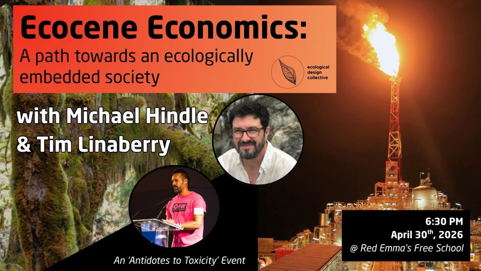 Ecocene Economics: A path towards an ecologically embedded society ...