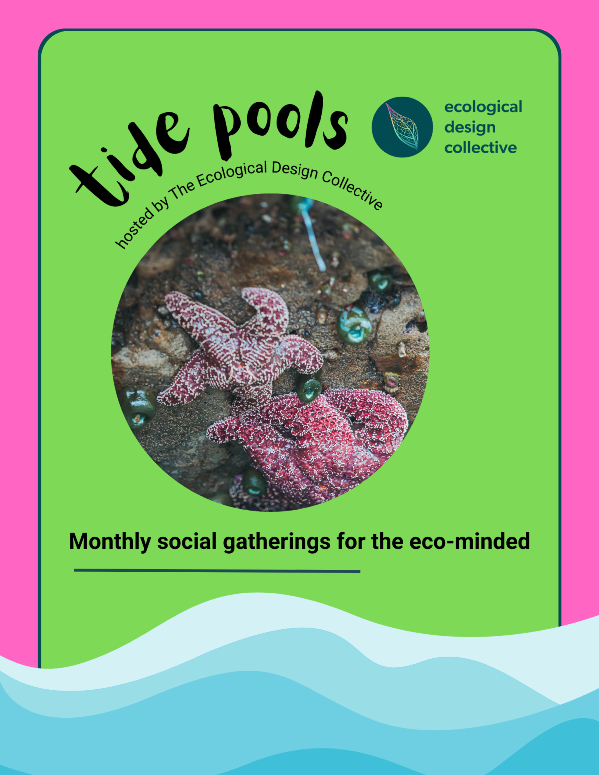 Tide Pool Socials